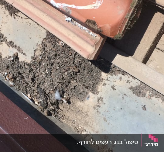 רעפים על גג עם לכלוך ואבק